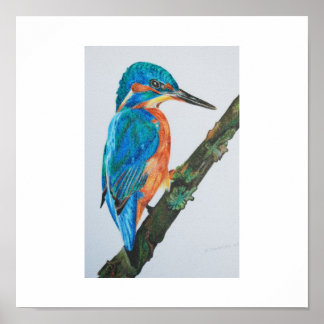 Poster Kingfisher Print - choisissez votre papier et votr