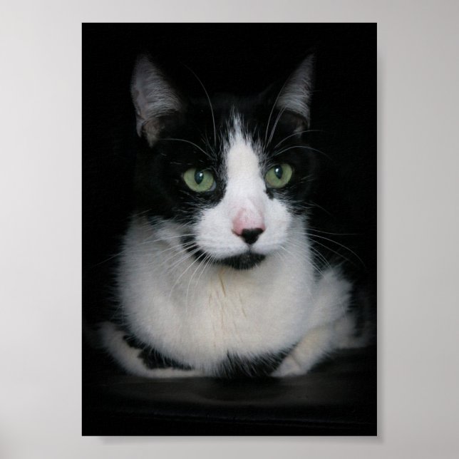 Poster Kirby (Devant)