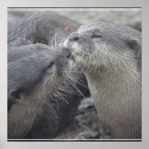 Poster Kissing River Otters