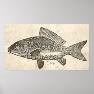 Poster Kitchen Decor Wall Art Vintage Carp Koi Fish