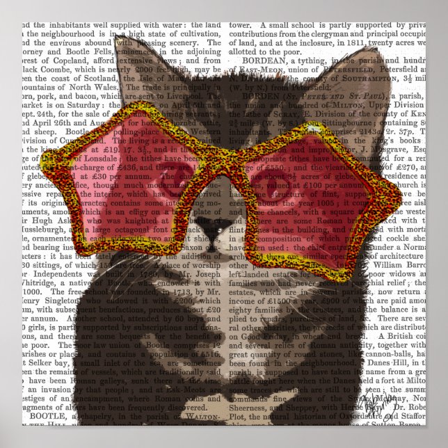 Poster Kitten dans les lunettes de soleil étoilées (Devant)
