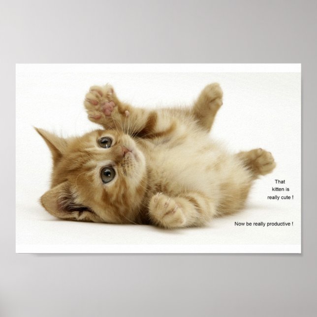 Poster Kitten de productivité (Kitteh) (Devant)