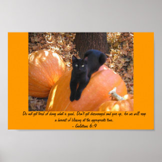 Poster Kitten de récolte