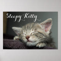Kitten endormi