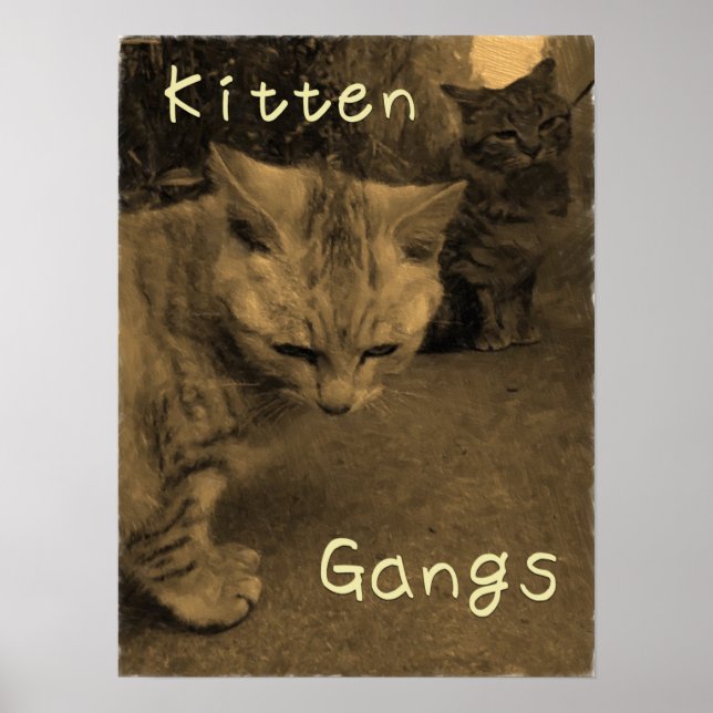 Poster Kitten Gangs (Devant)