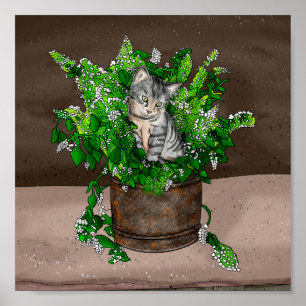Poster Kitten gris dans le seau de la capture