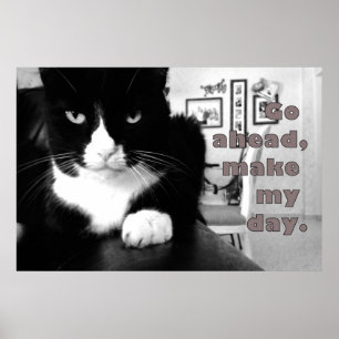 Poster Kitty Attitude - Aller de l'avant, faire mon affic