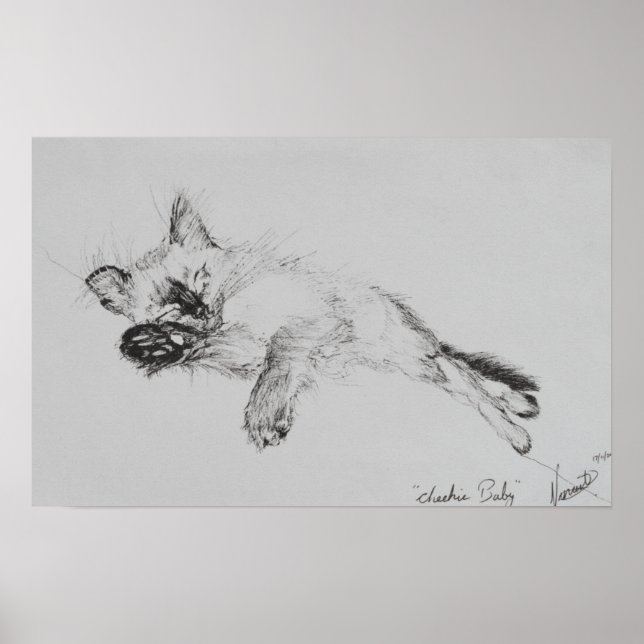 Poster Kitty 'Baby' (Devant)