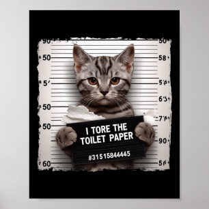 Poster Kitty Jail Photo J'Ai Rasé Le Papier Toilette Mauv