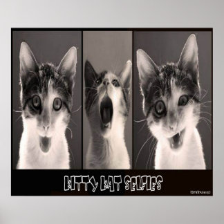 Poster Kitty Kat Selfies