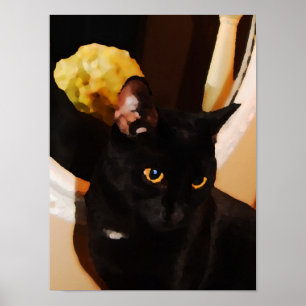 Poster Kitty noir