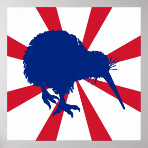 Poster Kiwi bleu
