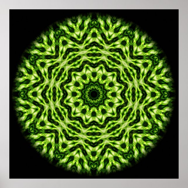 Poster Kiwi Kaleidoscope (Devant)