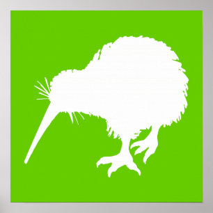 Poster Kiwi vert et blanc