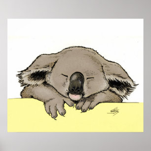 Poster Koala couché