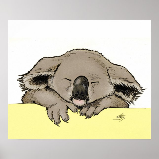 Poster Koala couché (Devant)