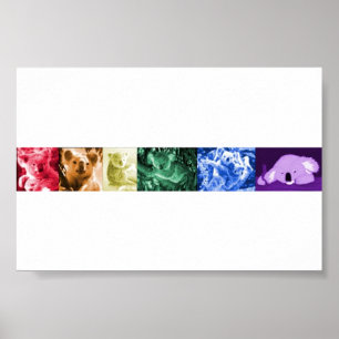 Poster Koala Love