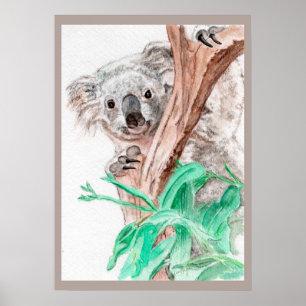 Poster Koala, Peek-a-Boo
