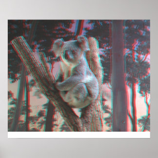 Poster Koala photogénique Poses pour la caméra en 3D