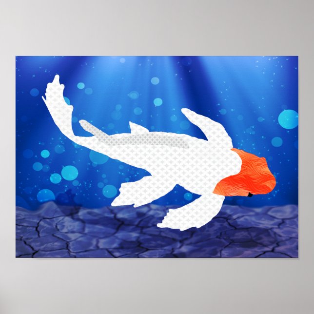 Poster Kohaku Koi 03 (Devant)