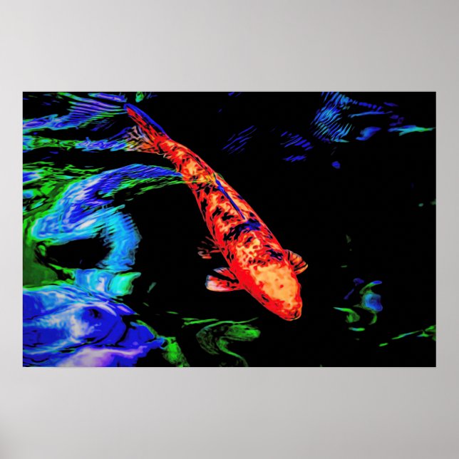 Poster Koi coloré (Devant)