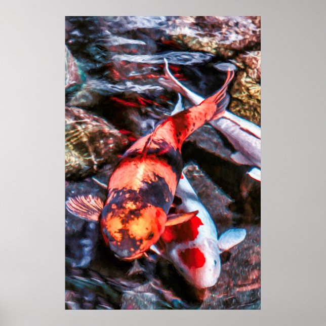 POSTER KOI FISH DUET (Devant)