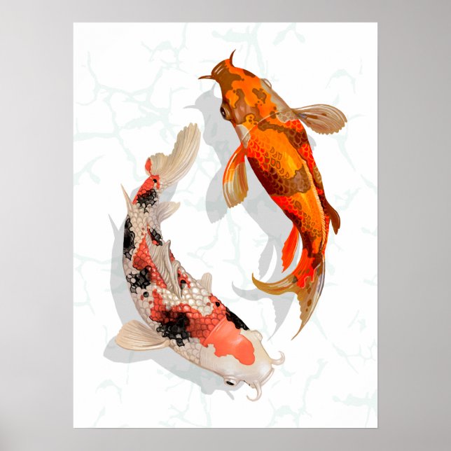 Poster Koi Pond japonais (Devant)