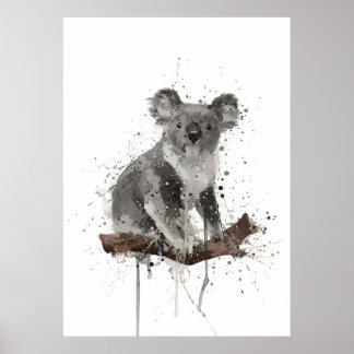 Poster Kola Bear