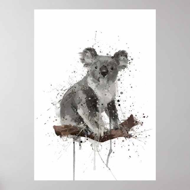 Poster Kola Bear (Devant)