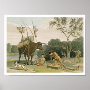 Poster Korah Hottentots Preparing to Remove, plate 20 fro
