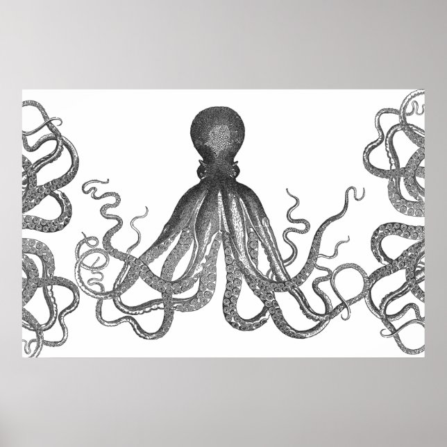 Poster Kraken - Octopus géant noir / Cthulu (Devant)