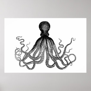 Poster Kraken - Octopus géant noir (extra large)