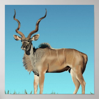 Poster Kudu JVG