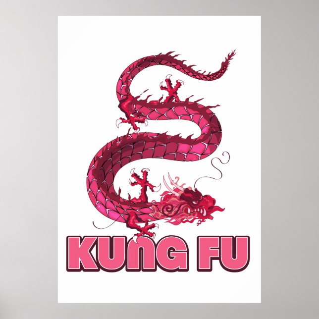Poster kung fu (Devant)