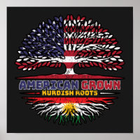 Kurdistan Kurdish US American États-Unis Tr