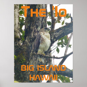 Poster L'"Io BIG ISLAND HAWAII
