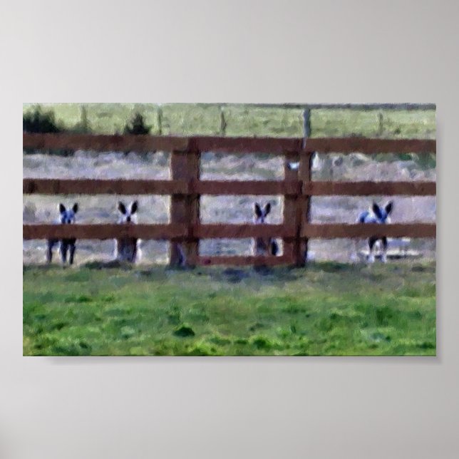 Poster La Bande (Devant)