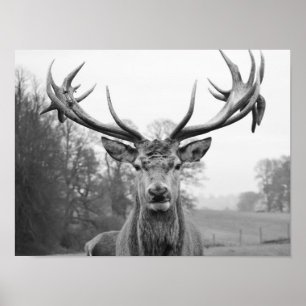 Poster La beauté dans la nature