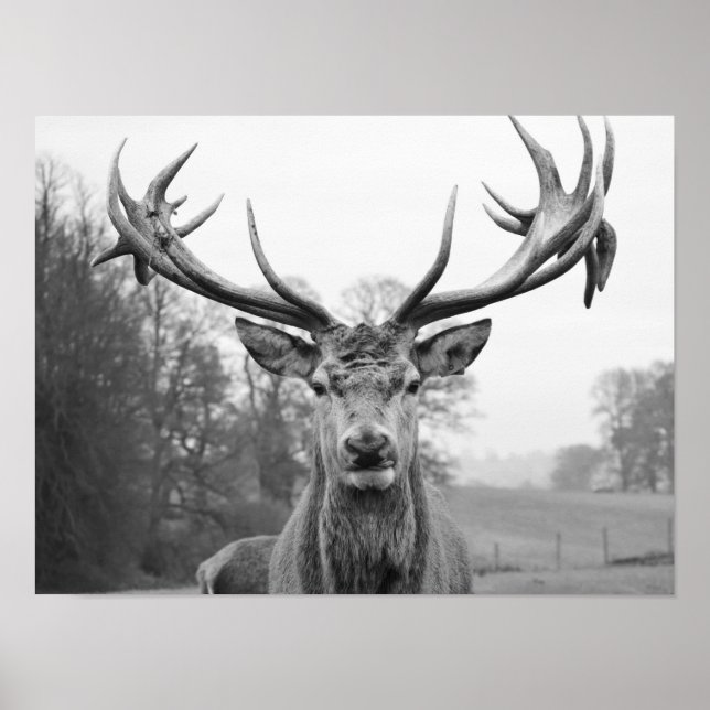 Poster La beauté dans la nature (Devant)