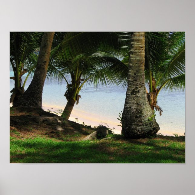 Poster La beauté de Guam (Devant)