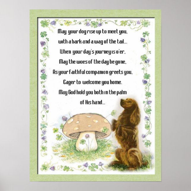 Poster La bénédiction irlandaise des chiens (Devant)