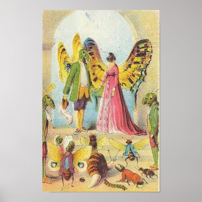 Poster La Boule aux papillons (Devant)