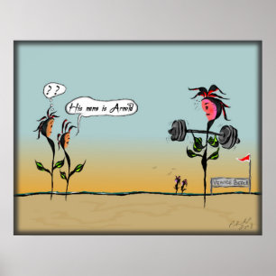 Poster La Californie Dreamin