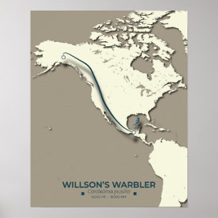Poster La carte de migration de la Paruline Wilson - Mini