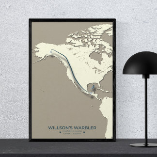 Poster La carte de migration de la Paruline Wilson - Mini