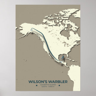 Poster La carte de migration de la Paruline Wilson - Mini