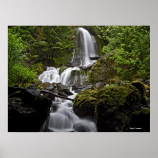 Poster La cascade du Mont Rainier