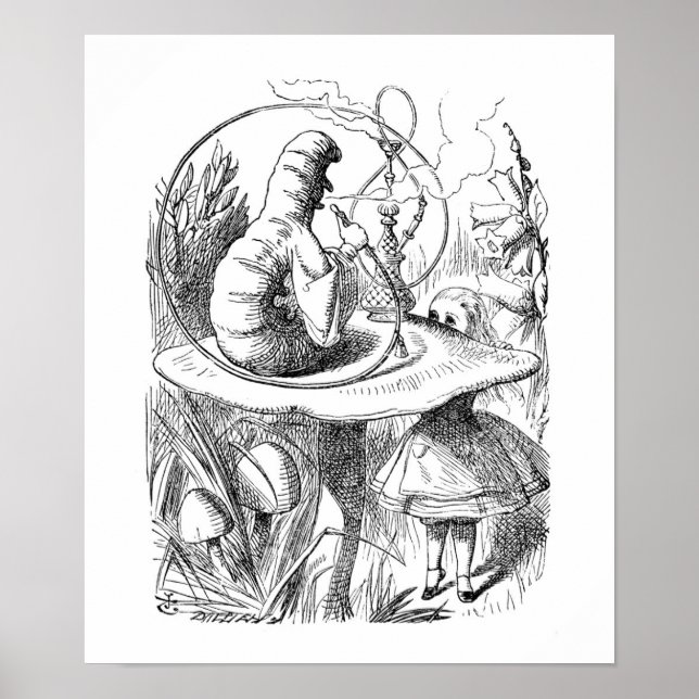 Poster La Caterpillar (Devant)