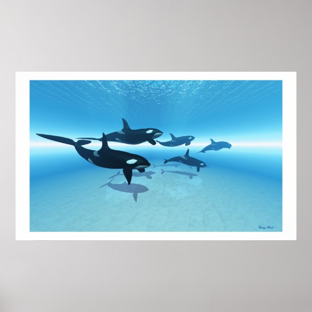 POSTER LA CHASSE (Devant)