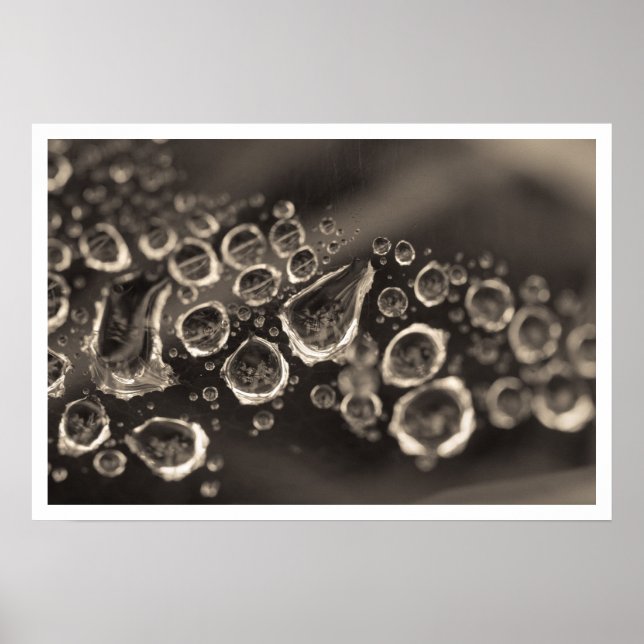 Poster la chaussure tombe (Devant)